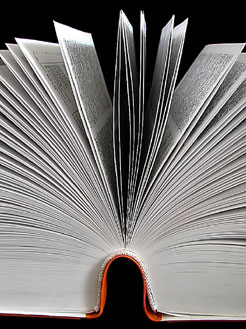 Liebe zum Buch